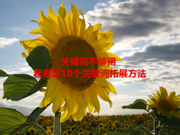 關(guān)鍵詞不夠用，看看這10個關(guān)鍵詞拓展方法！